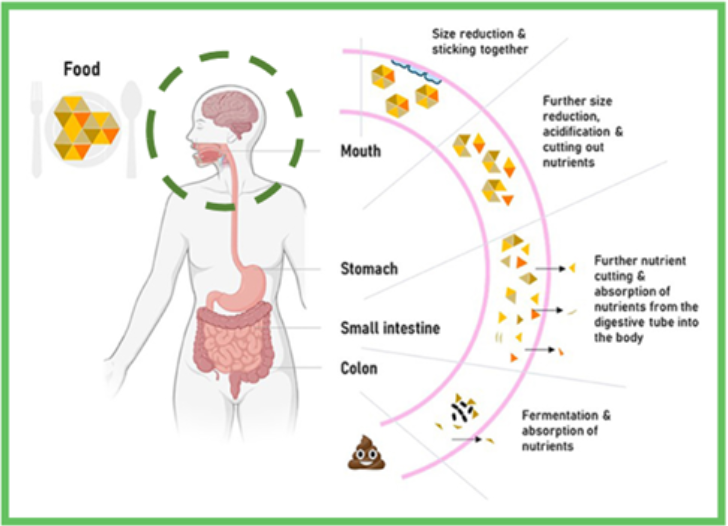WG8 illustration.png