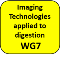 WG7 logo