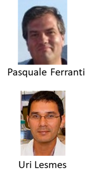 WG2 leaders